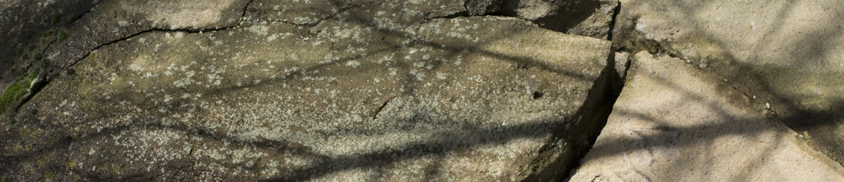 Basalt Rock | Natural Ressource
